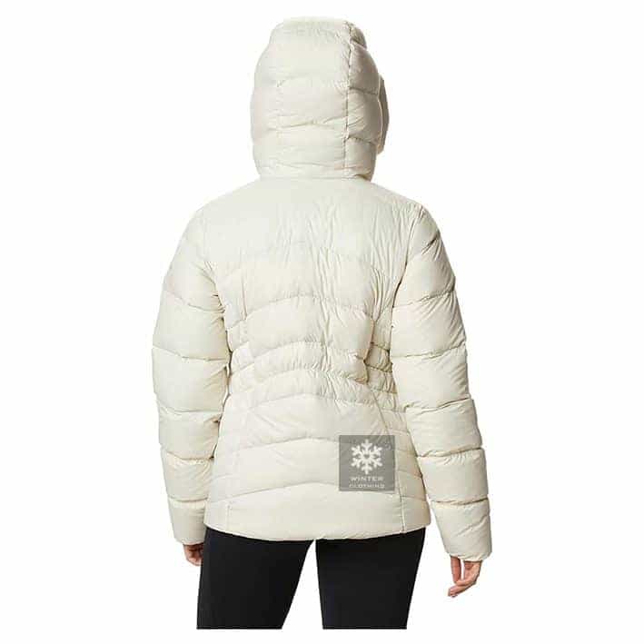 wp-11584