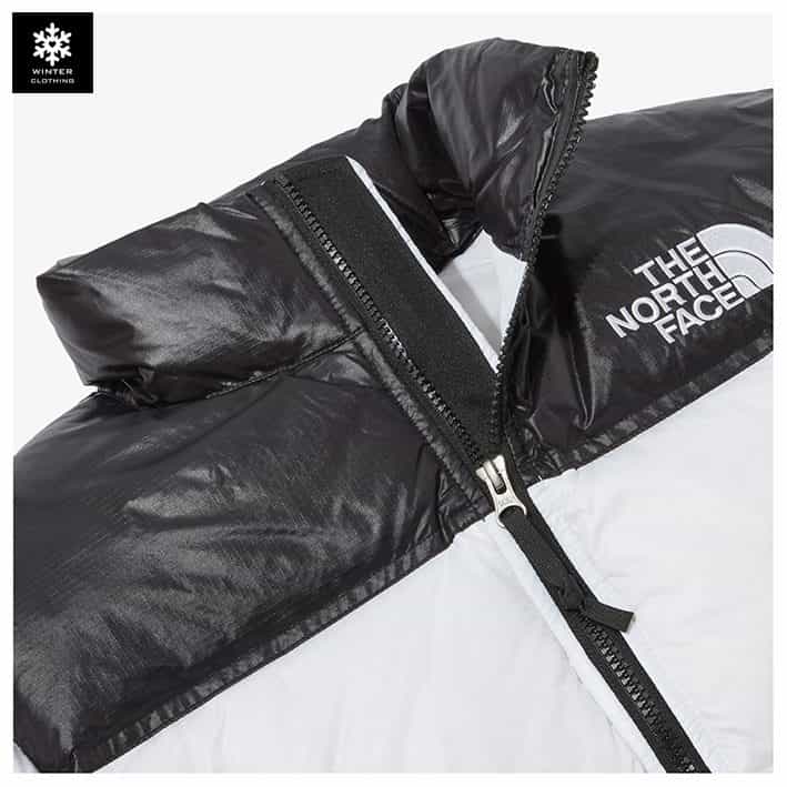 wp-12020