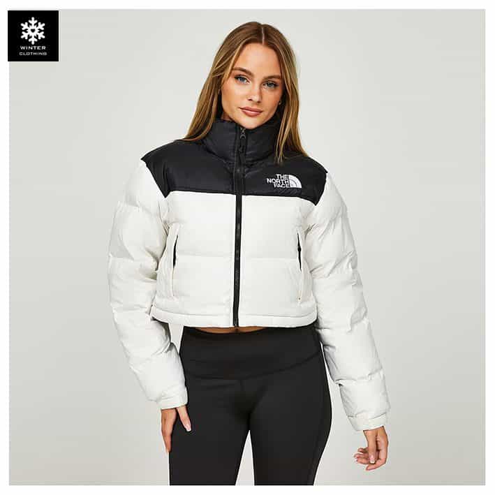 wp-12024