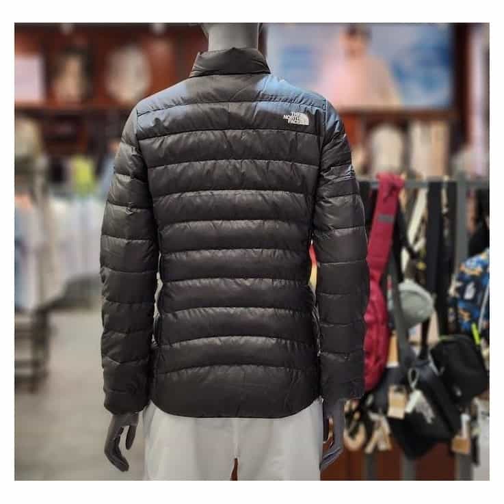 wp-13582